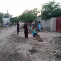 Green Seekers Activity